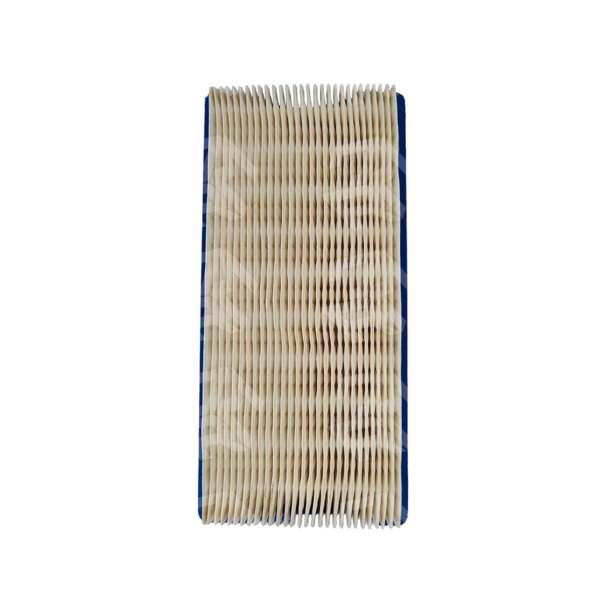 FILTRO DE AIRE TRACTOR MOTOR BRIGGS & STRATTON - Image 3